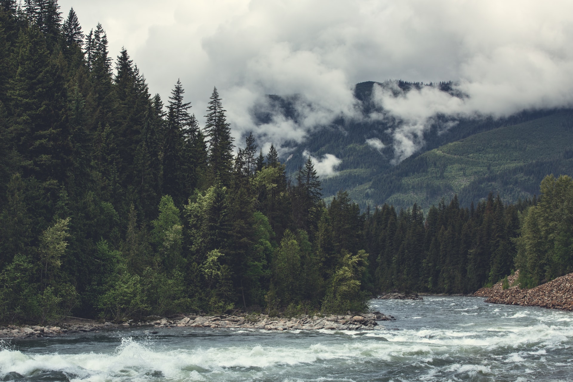 Adams River near Kamloops, BC
